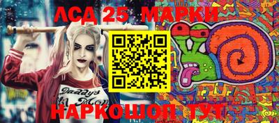 индика Сланцы
