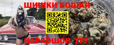 индика Сланцы