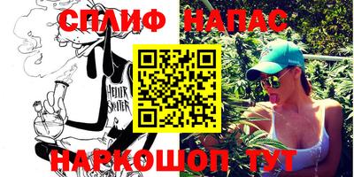 индика Сланцы