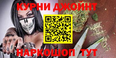 индика Сланцы