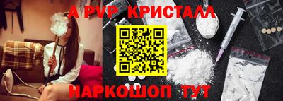 индика Сланцы